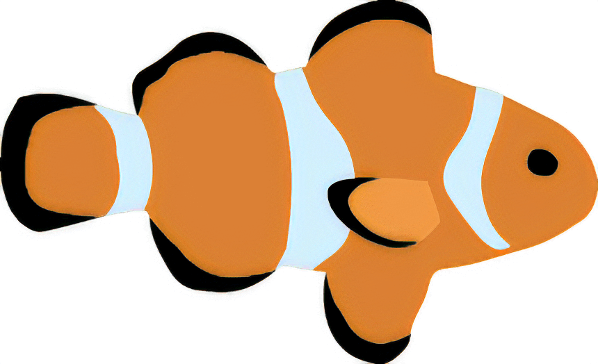 カクレクマノミ