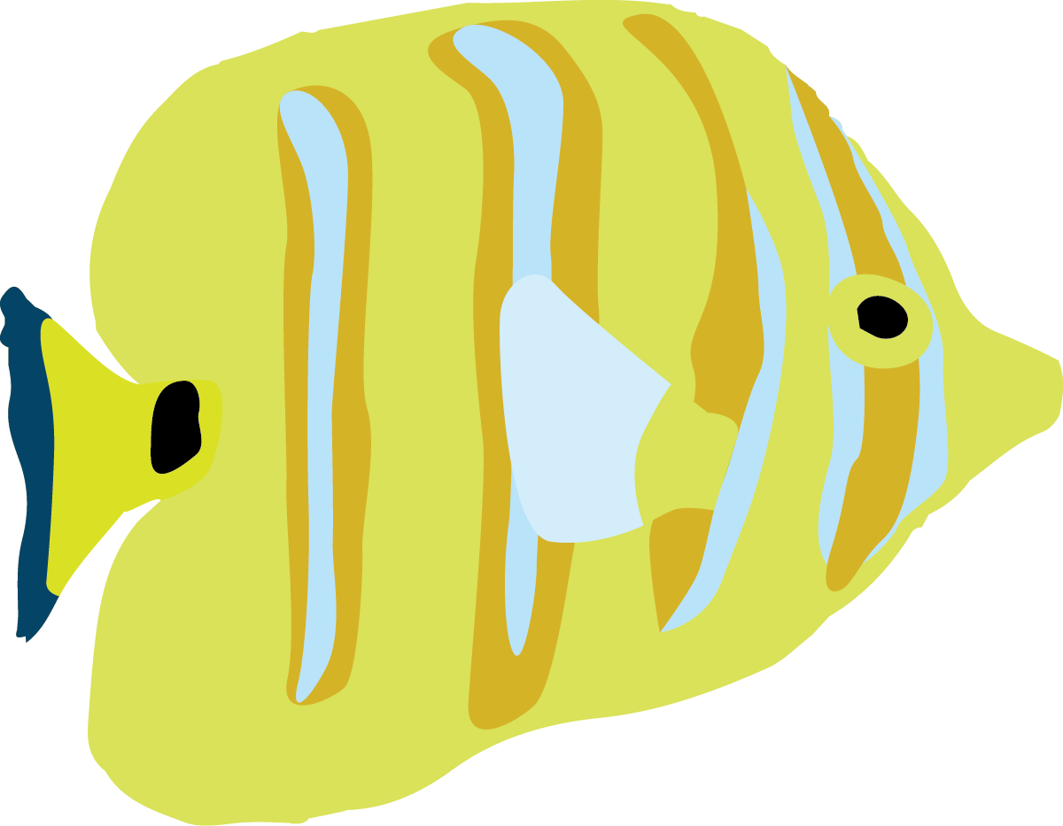 チョウチョウウオ