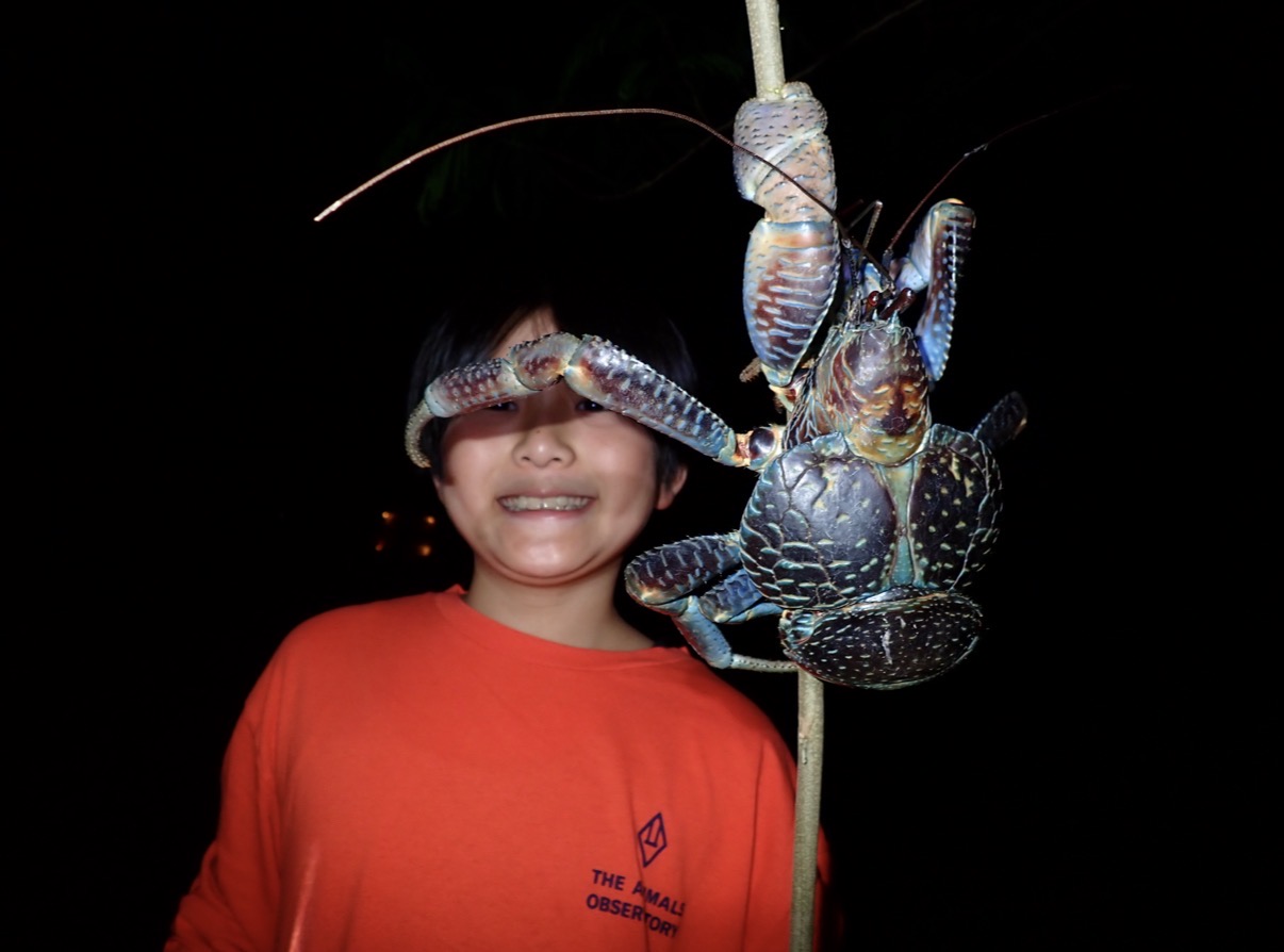 ジャングルナイトアドベンチャー&星空観賞ツアー 関連画像