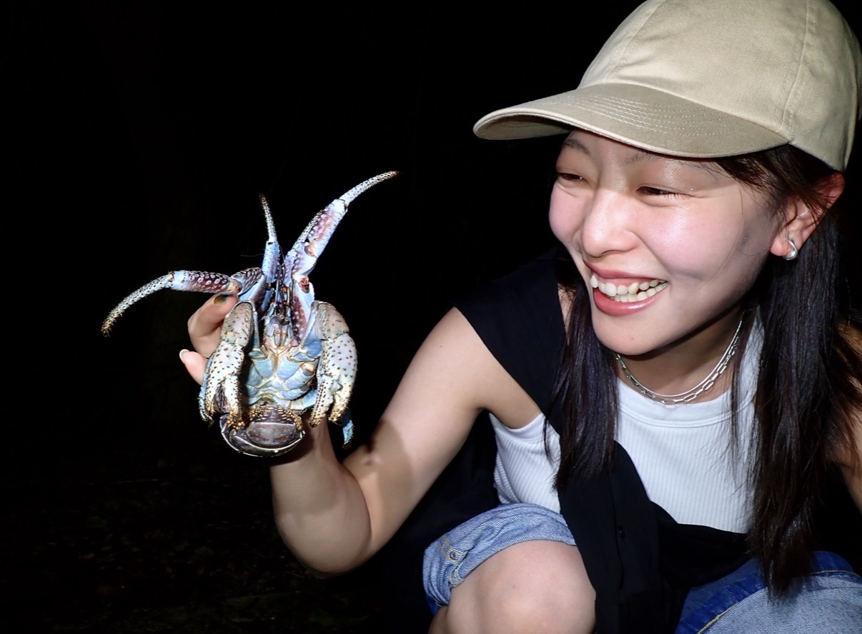 ジャングルナイトアドベンチャー&星空観賞ツアー 関連画像