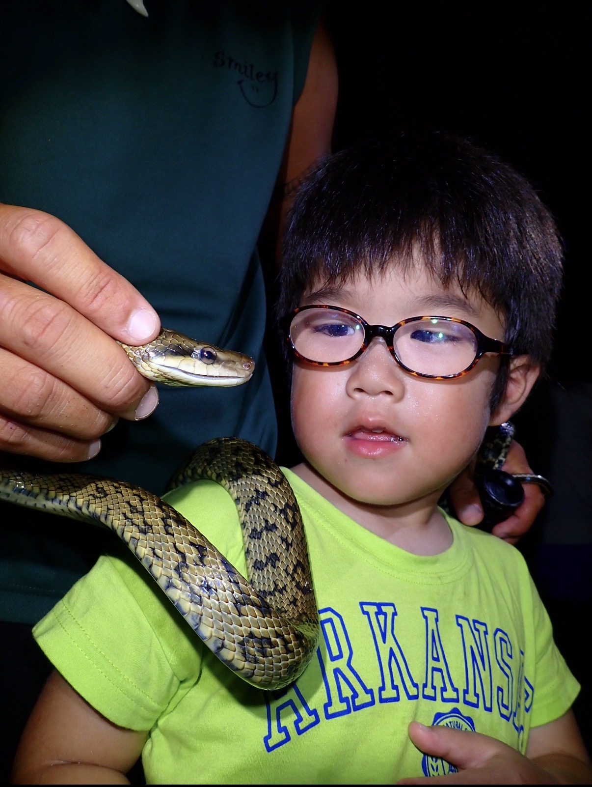 ジャングルナイトアドベンチャー&星空観賞ツアー 関連画像