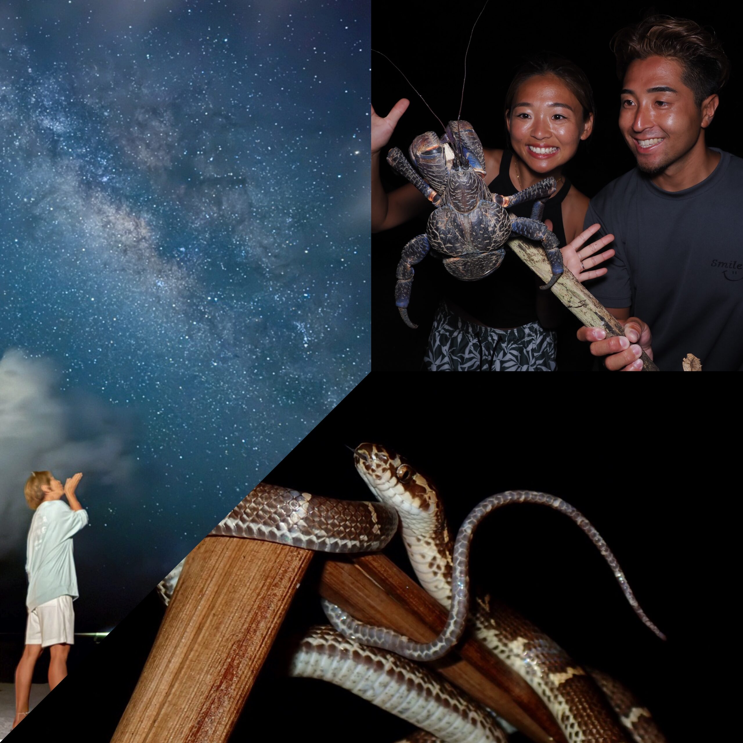 ジャングルナイトアドベンチャー&星空観賞ツアー