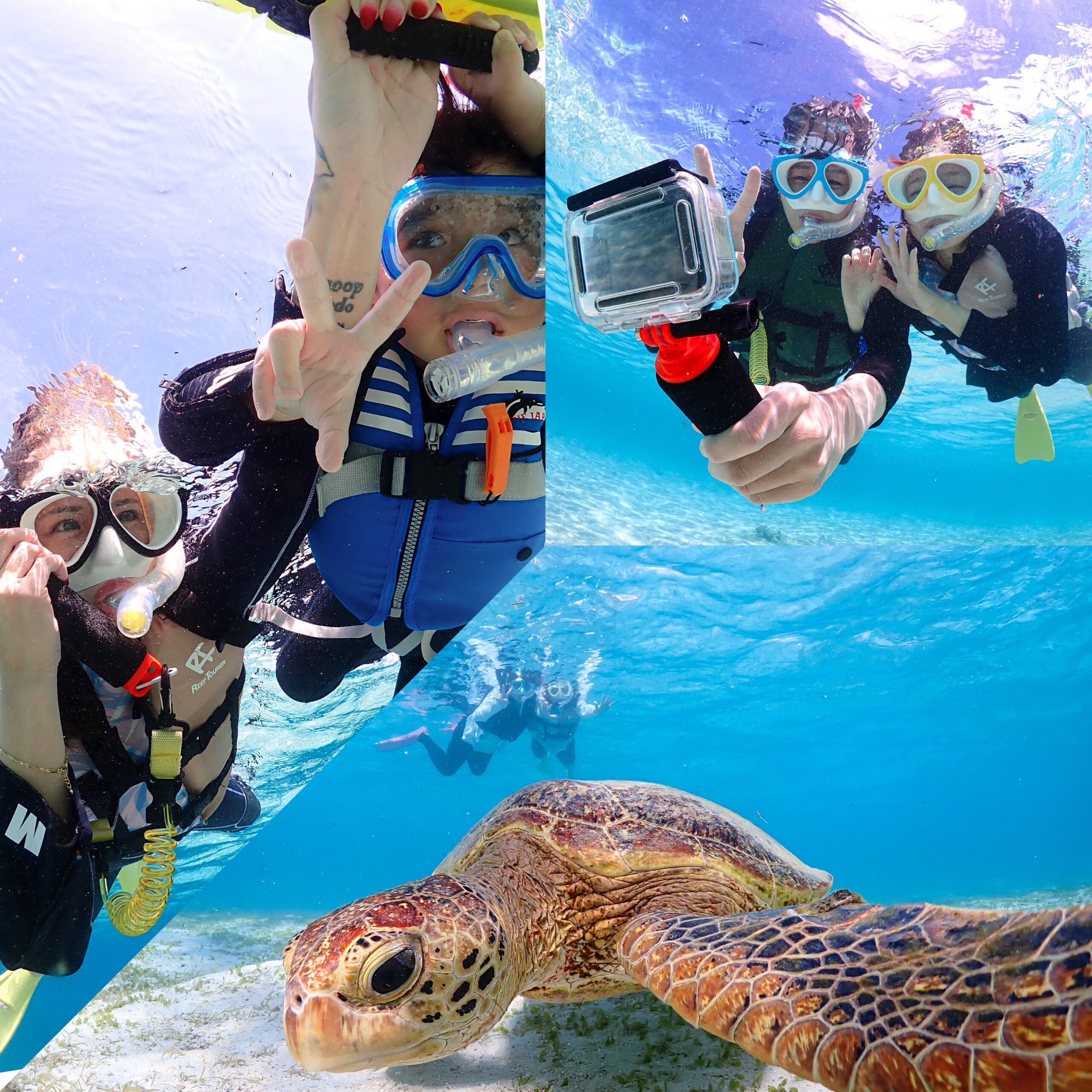 【お得な通常コース】ウミガメシュノーケリングツアー