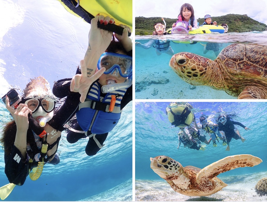 【1組限定/1歳からOK】ベビーシッター同行可!完全貸切でプライベートウミガメシュノーケリング!|高画質写真データ増量!